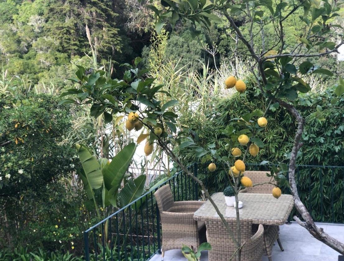 Casa Holstein Quinta De Sao Sebastiao Sintra Ξενοδοχείο Εξωτερικό φωτογραφία