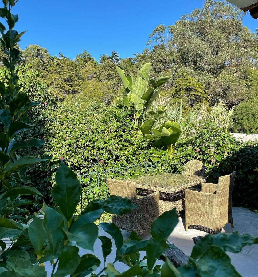 Casa Holstein Quinta De Sao Sebastiao Sintra Ξενοδοχείο Εξωτερικό φωτογραφία