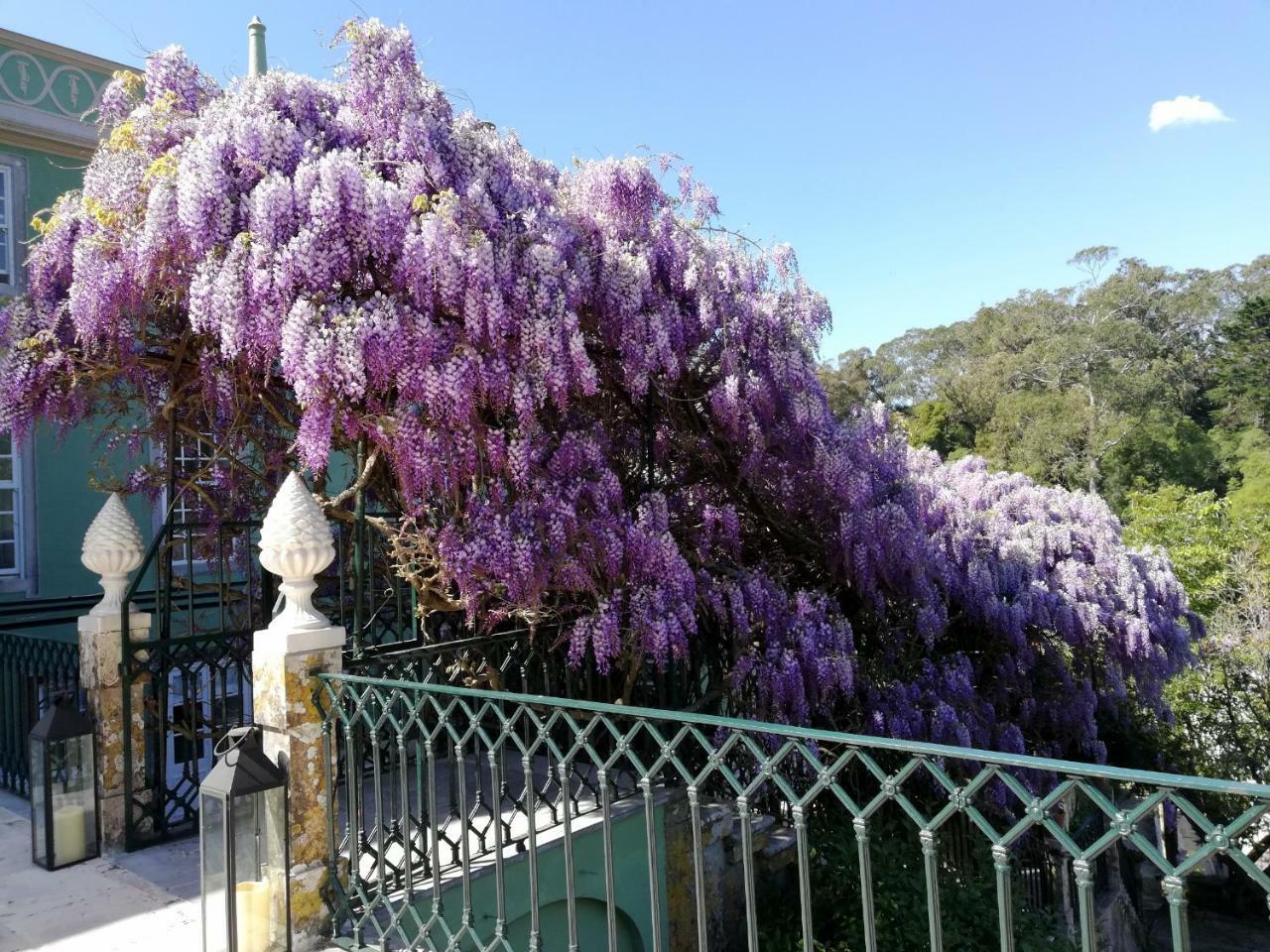 Casa Holstein Quinta De Sao Sebastiao Sintra Ξενοδοχείο Εξωτερικό φωτογραφία