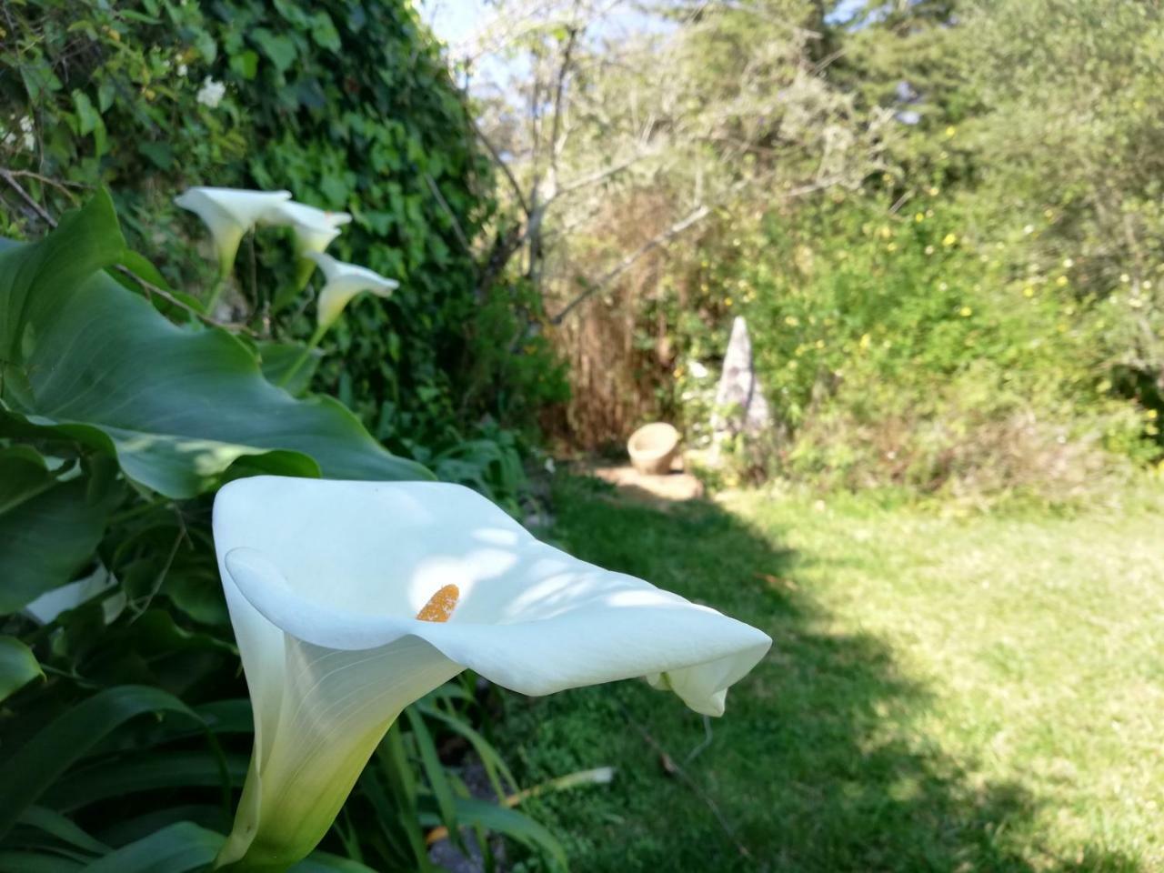 Casa Holstein Quinta De Sao Sebastiao Sintra Ξενοδοχείο Εξωτερικό φωτογραφία