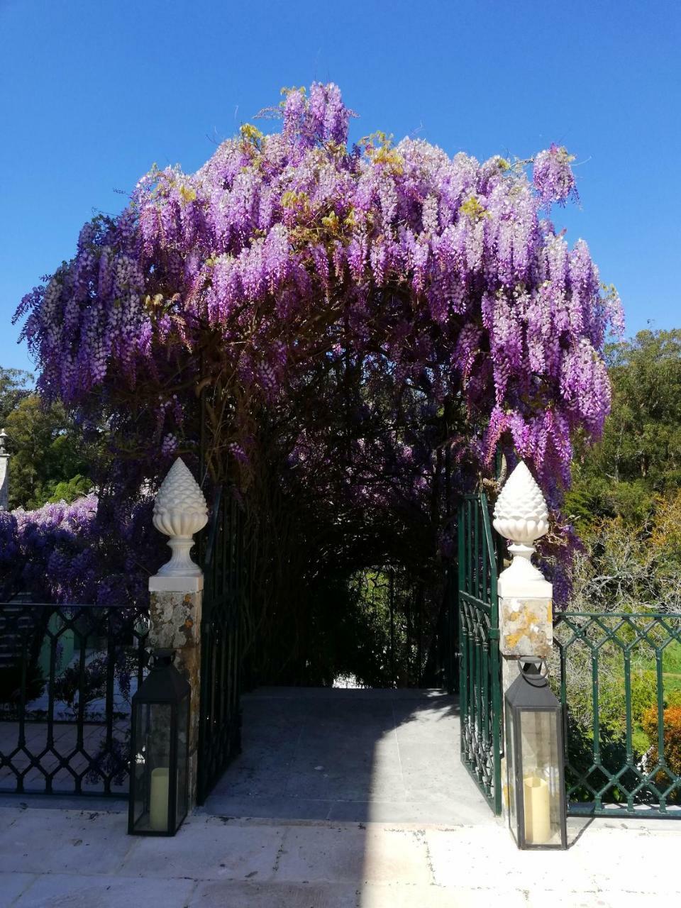 Casa Holstein Quinta De Sao Sebastiao Sintra Ξενοδοχείο Εξωτερικό φωτογραφία